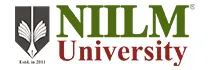 NIILM University Engineering