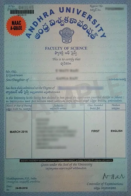 sample-certificate