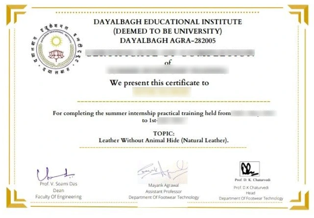 sample-certificate