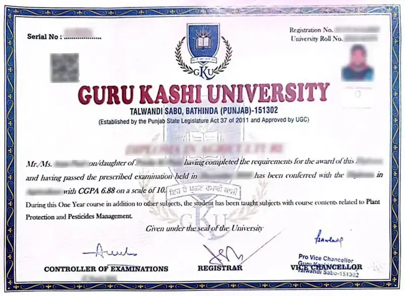 sample-certificate