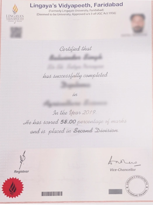 sample-certificate