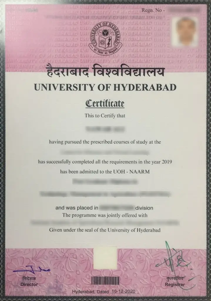 sample-certificate